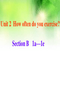 2014年秋人教版-八年级上册-Unit2-How-often-do-you-exercise-Se