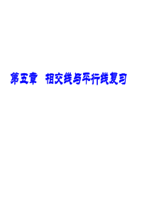 相交线与平行线复习课件5-人教版