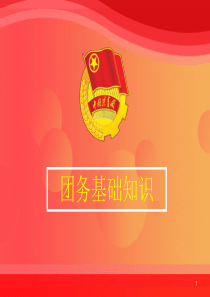 团务基础知识及团青品牌活动45页PPT