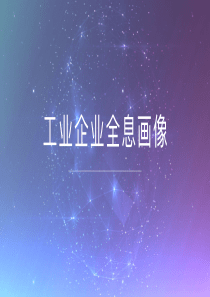 工业企业全息画像