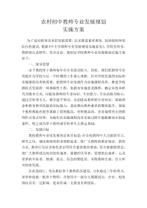 初中教师专业成长实施方案