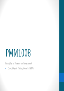 CAPM--资产定价模型英文版