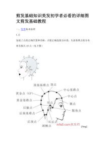 剪发基础知识美发初学者必看的详细图文剪发基础教程