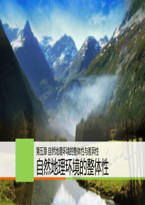 自然环境的整体性