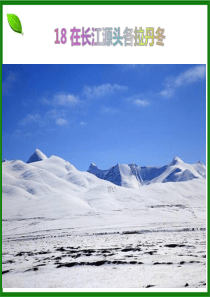 18、《在长江源头格拉丹东》公开课