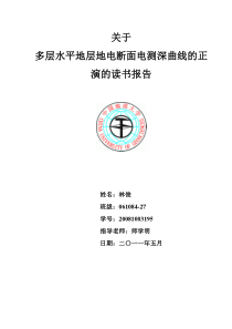 电法报告-直流电测深正演曲线