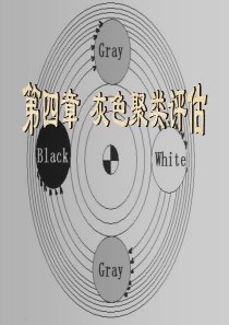 第4章 灰色聚类评估