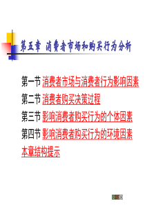 第5章+消费者市场和购买行为分析