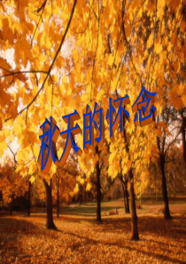 小学语文S版六年级上册第12课《秋天的怀念PPT课件》