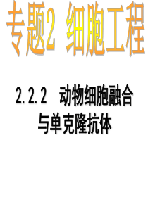 2.2.2动物细胞融合与单克隆抗体4