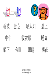 7.《棉鞋里的阳光》(1)课件PPT