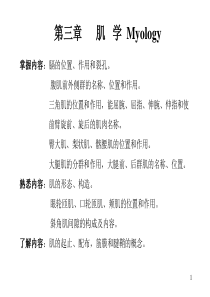 系统解剖学 03.肌学