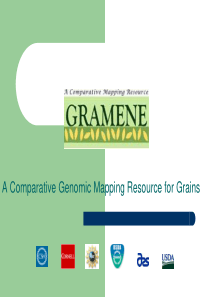 植物分子生物学网站GRAMENE_ppt介绍_非常有用