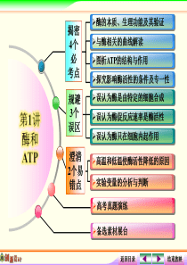 《创新设计・高考总复习》2015届高考生物第一轮复习之高考全程揭秘课件：1-3-1 酶和ATP