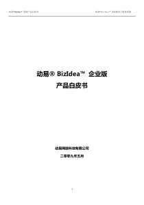 动易 BizIdea 企业版产品白皮书