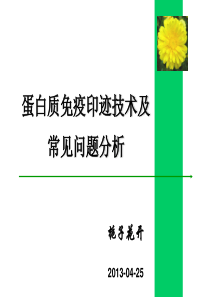 Western_Blot专题PPT汇报