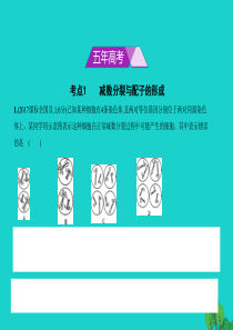 北京市高考生物专题复习专题9遗传的细胞基础课件