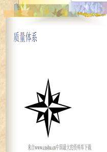 质量体系(quality system)概述(ppt 96页)