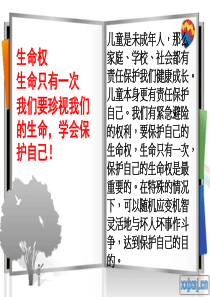 小学生法制教育主题班会2