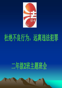 小学生法制教育主题班会ppt课件 (1)