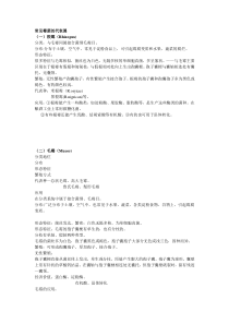 常见霉菌的代表属