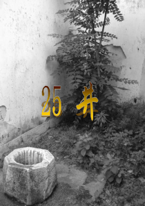 25 井