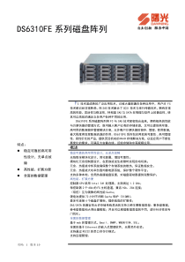 DS6310FE磁盘阵列技术白皮书V1.0