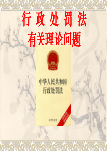 《行政处罚法》讲义