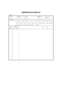 质量管理体系运行抽查记录