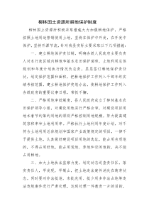 国土资源所耕地保护制度