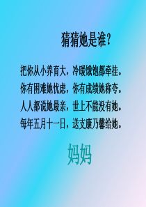 23卡罗纳ppt课件1