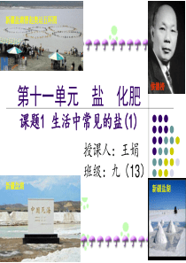 生活中常见的盐(课时一)最最新