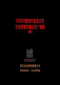 DB2000燃油节能清洁剂市场营销策略