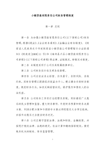 小额贷款有限责任公司财务管理制度