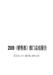 公司销售部年度工作总结及规划