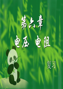 第16章 电压 电阻复习课件