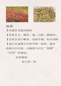 中药功效速记歌诀