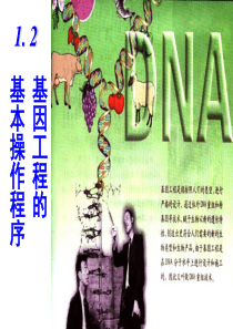 1-2DNA重组技术的基本操作程序