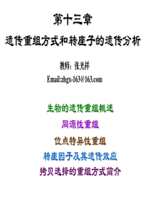 13第十三章遗传重组方式和转座子的遗传分
