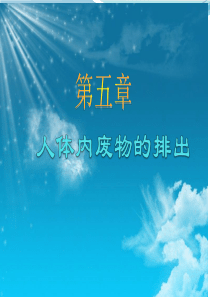 《人体内废物的排出》课件12
