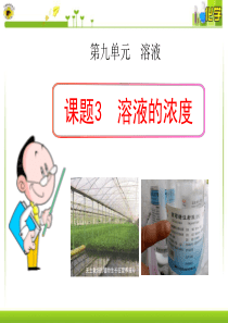 《溶液的浓度》溶液PPT课件