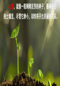 部编版六年级下册语文课件-第四单元习作：心愿(共19张PPT)
