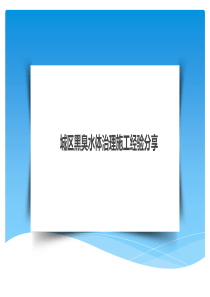 城区黑臭水体治理经验分享