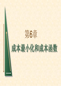 06--第6章成本最小化和成本函数