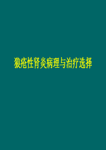 狼疮性肾炎病理与治疗选择(中南6省)
