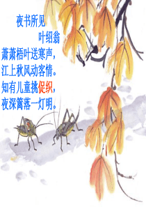 《蟋蟀的住宅》PPT课件优秀