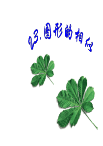 华师大版九年级上册课件：图形的相似复习(1)