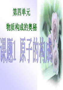 化学：4.1《原子的构成》课件(6)(人教版九年级上)