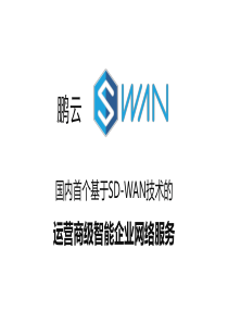 鹏云SD-WAN产品介绍