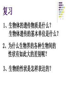 DNA重组技术的基本工具(36)（PPT40页)